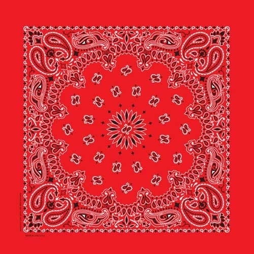 NT4401 Bandana Paisley Red | Bandanas
