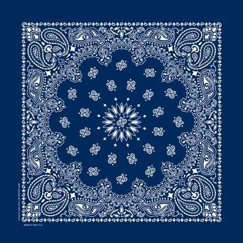 NT4402 Bandana Paisley Navy | Bandanas