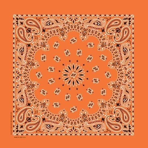 NT4404 Bandana Paisley Orange | Bandanas