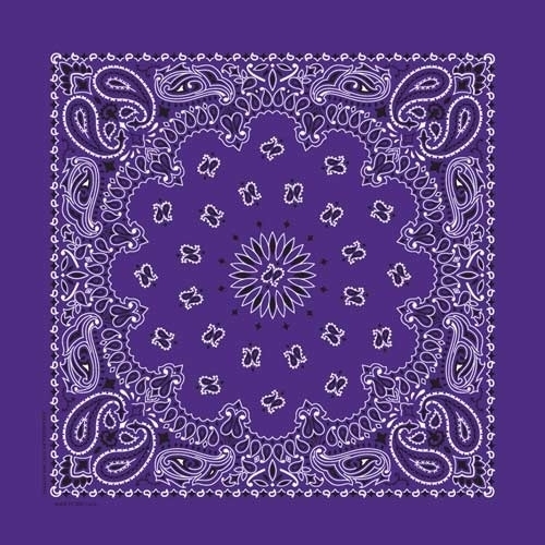 NT4406 Bandana Paisley Purple | Bandanas