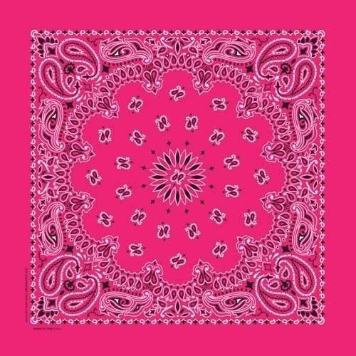 NT4413 Bandana Paisley Hot Pink | Bandanas