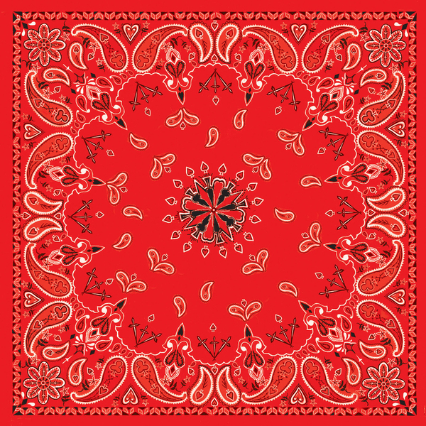 B003- Bandanna Red Paisley | Bandanas