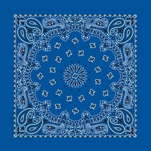 BD2501 Bandana Paisley Royal | Bandanas