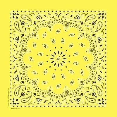 NT4403 Bandana Paisley Yellow