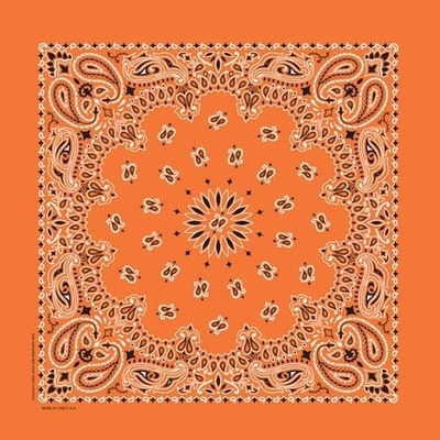 NT4404 Bandana Paisley Orange