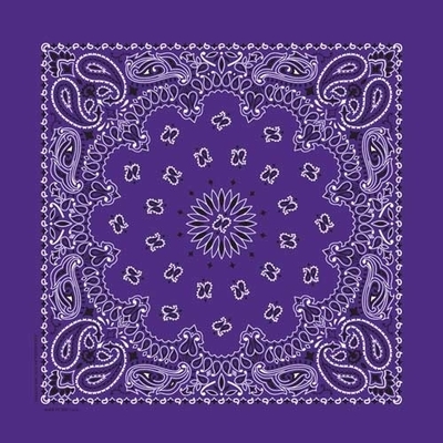NT4406 Bandana Paisley Purple