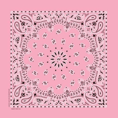 NT4408 Bandana Paisley Light Pink
