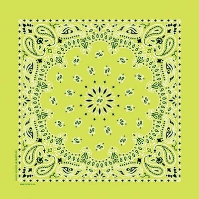NT4410 Bandana Paisley Lime