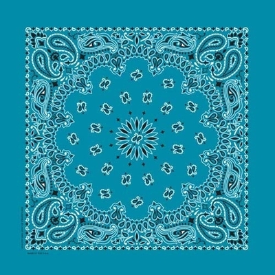 NT4412 Bandana Paisley Turquoise
