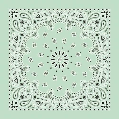 NT4414 Bandana Paisley Mint
