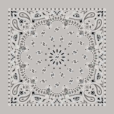 BD2502 Bandana Paisley Silver