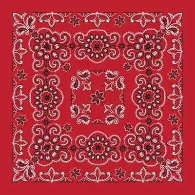 BD2507 Bandana Texas Paisley Red [27 x27]