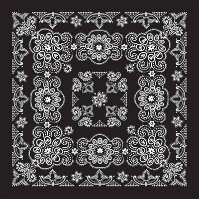 BD2508 Bandana Texas Paisley Black [27 x27]
