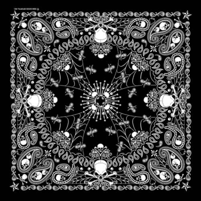BD2514 Bandana Paisley GS Skeletal